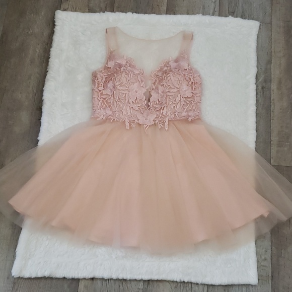 Basix Black Label Dresses & Skirts - 🎉🎊2X HP🎉🎊Sheer Tulle Dress